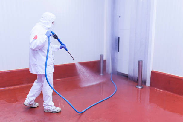 Best Brick and Stone Cleaning in Roanoke, IL